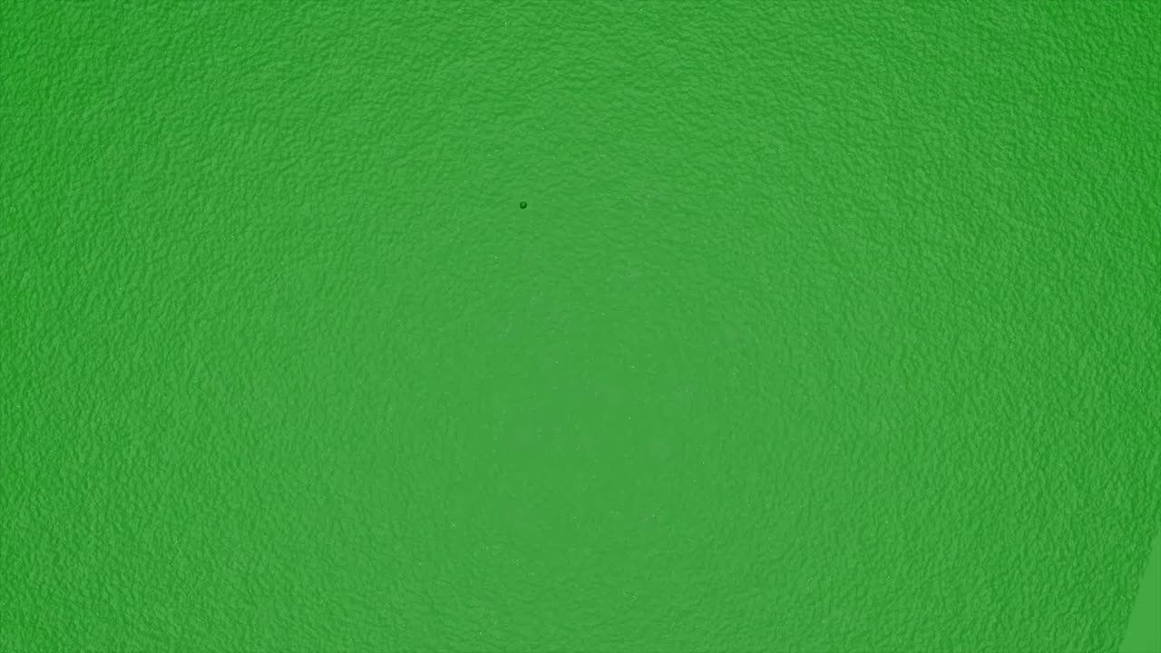 원형 거품이 있는 초록색 배경