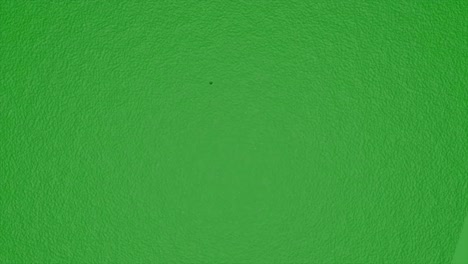 fondo verde con burbujas circulares