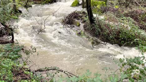 vemos la irregularidad de un arroyo formando pequeñas cascadas con una elevación de cámara, la fuerza del agua en el descenso de un color blanquecino y la vegetación ribereña a su alrededor, ávila, españa