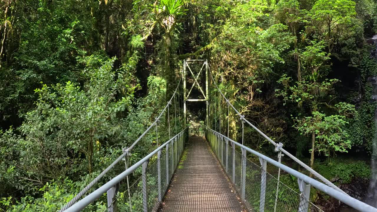 Suspension Bridge in a Lush Rainforest with Waterfall