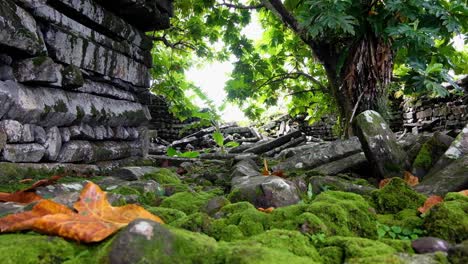 vista panorámica de las paredes exteriores de piedra con caminos cubiertos de musgo en la antigua ciudad de nan madol en pohnpei, estados federados de micronesia