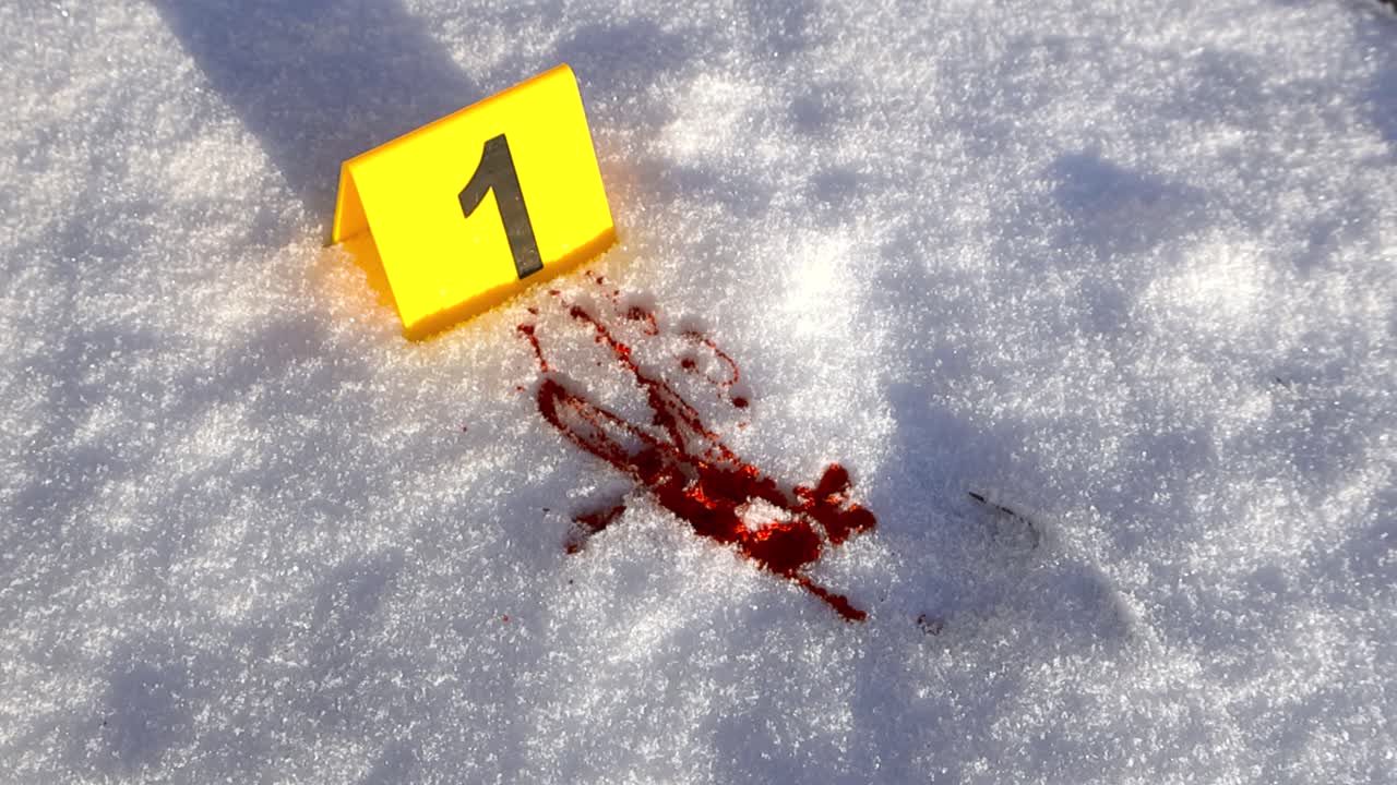 Close up view of a yellow police forensic science crime scene marker placed next to a red bloody stain on white fluffy winter snow during a sunny day