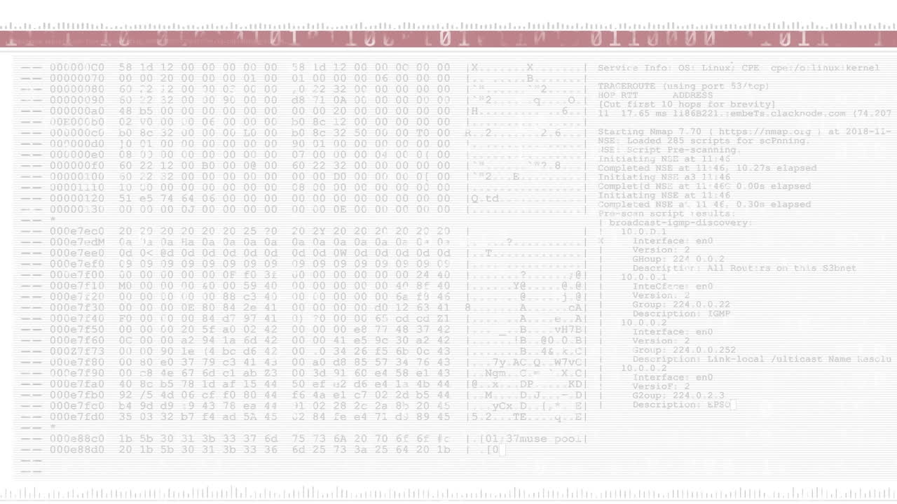 Animation of screen with computer data processing