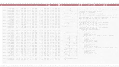 animación de la pantalla con procesamiento de datos por computadora