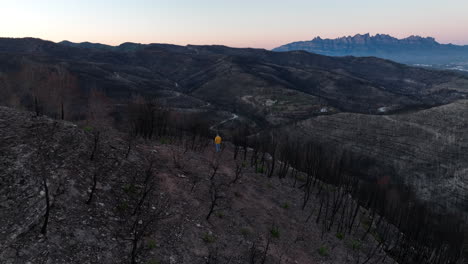 Hombre-Caminando-Por-El-Bosque-Quemado-Después-Del-Incendio-Forestal-En-El-Pont-De-Vilomara,-España---Toma-Aérea