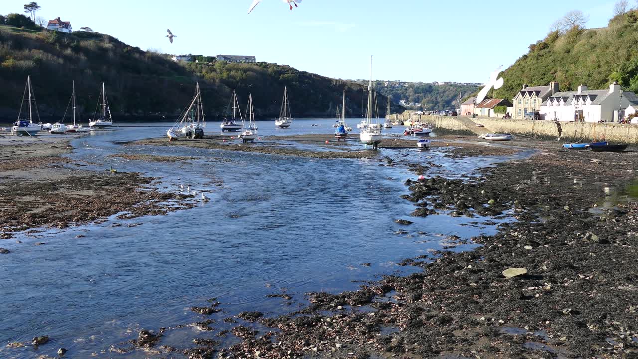 Drone video captures a tranquil Welsh harbor with moored boats, scenic hills, and quaint seaside houses. Sunny day enhances the serene, picturesque coastal landscape