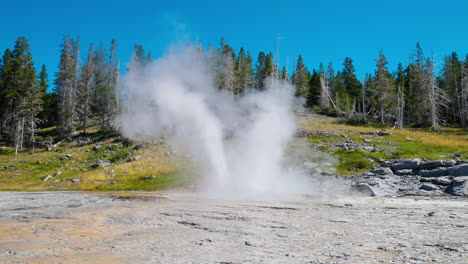 geyser eruption in yellowstone national park