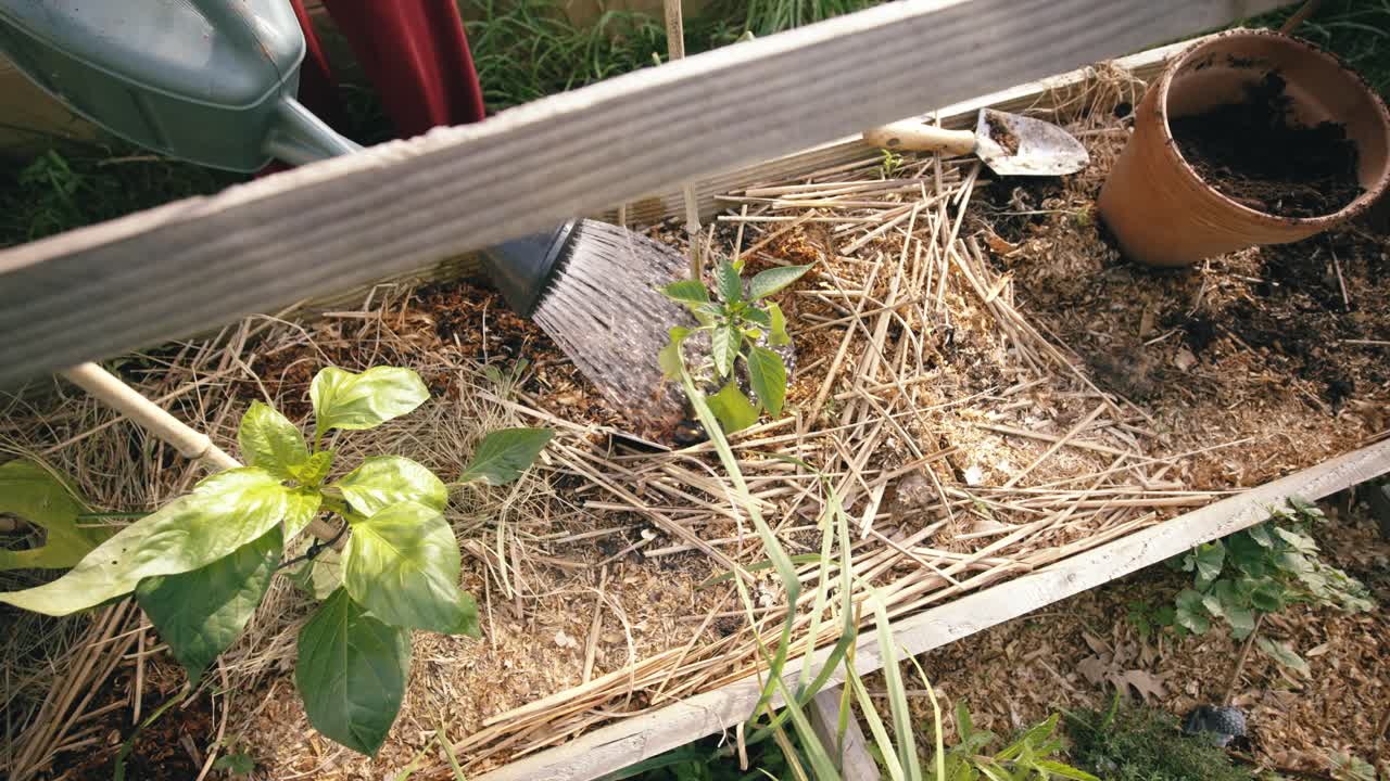 Gardening from above: nurturing life with water and mulch