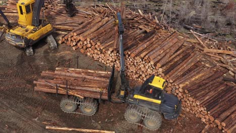 sustainable forestry: drone footage of forwarder handling logs