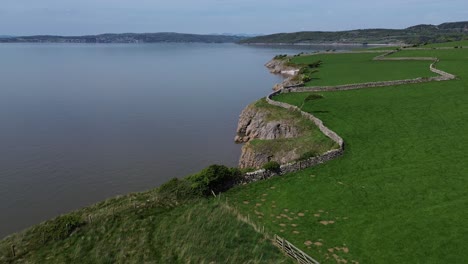 lake district coastal farming meadow aerial view descent to stone wall curving across morecambe bay