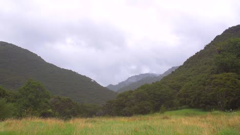 verdi colline della nuova zelanda