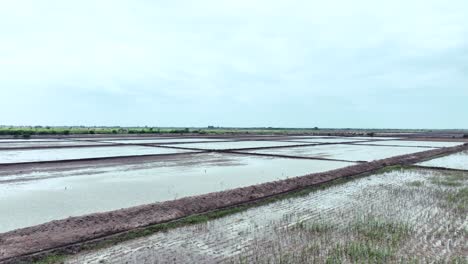 Toma-Aérea-De-Campos-Agrícolas-De-Golarchi-Durante-La-Puesta-De-Sol-En-Sindh,-Pakistán