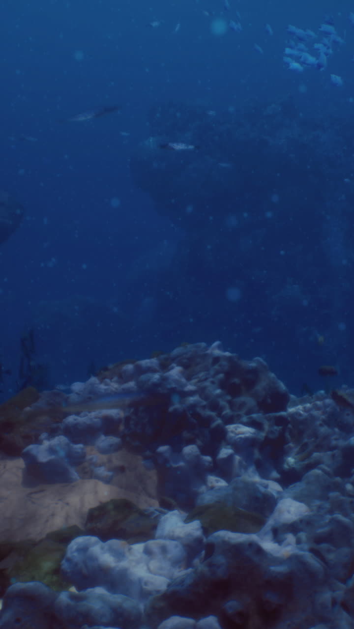 Underwater coral reef featuring diverse marine life and vibrant colors