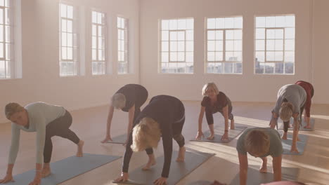 yoga-class-of-healthy-mature-women-practice-plank-pose-enjoying-morning-physical-fitness-workout-exercise-in-studio-at-sunrise