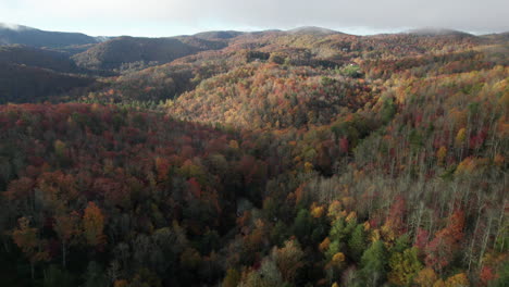 Filmische-Breite-Drohnenaufnahme-Der-Herbstbergfarben-In-North-Carolina