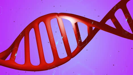 animation of icons, dna strand over data processing