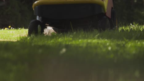 ride-on lawnmower cutting grass low angle shot