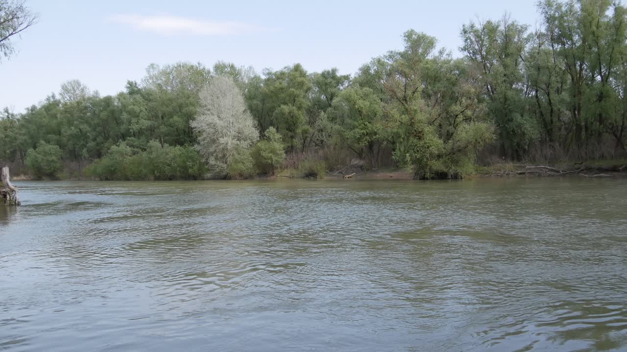 Donauflodens Deltas Naturreservat