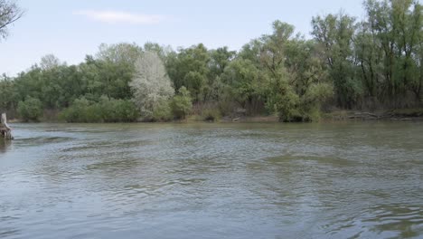 reserva natural delta del río danubio