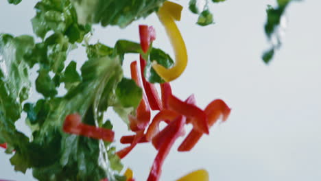 slow motion - close shot of freshly cut salad flying through the air in front of a white background