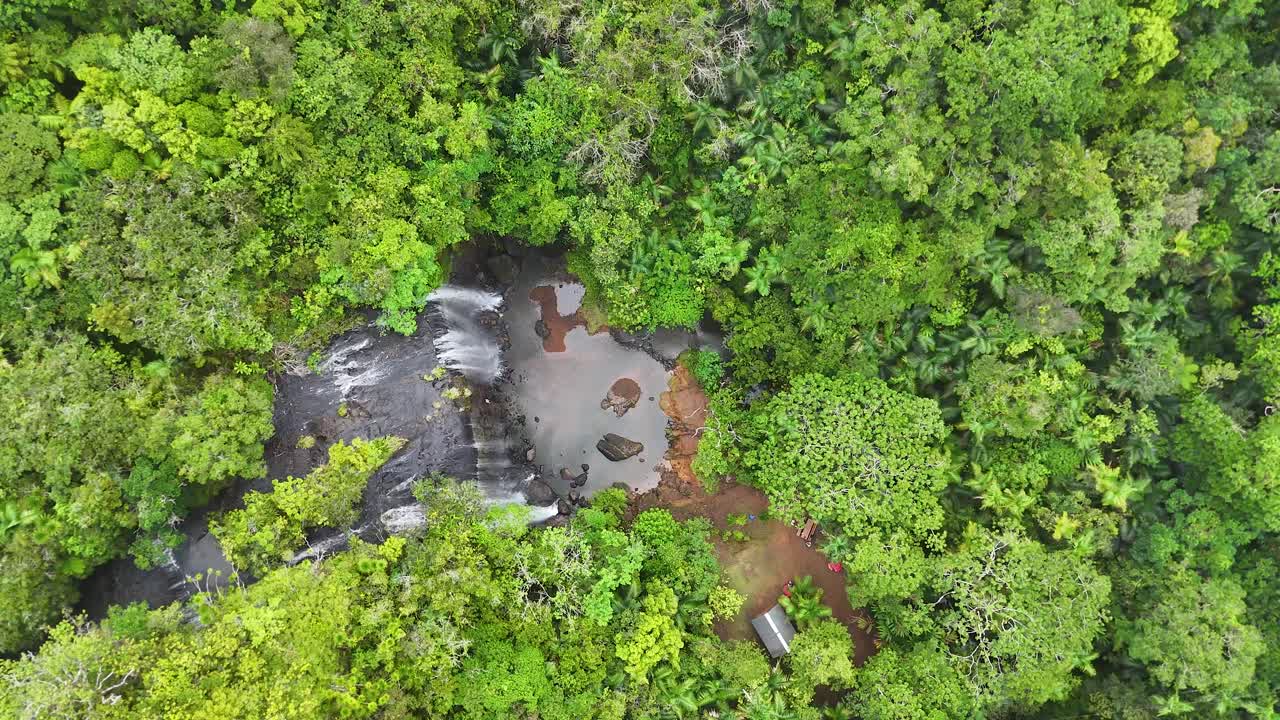 A high-angle drone shot captures a tropical waterfall cascading through dense green rainforest canopy