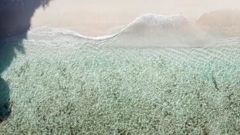 top down aerial view, tropical paradise of tonga island, polynesia