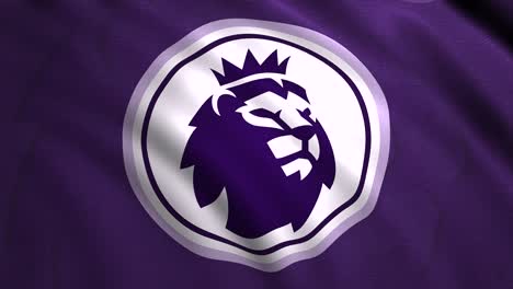 purple liverpool football jersey detail