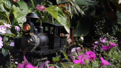 miniature train passes by pink flowers on railroad