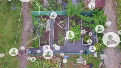 video of network of connections over above view of garden