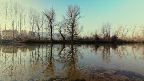 winter leafless trees along riverbank reflect in slow flowing water
