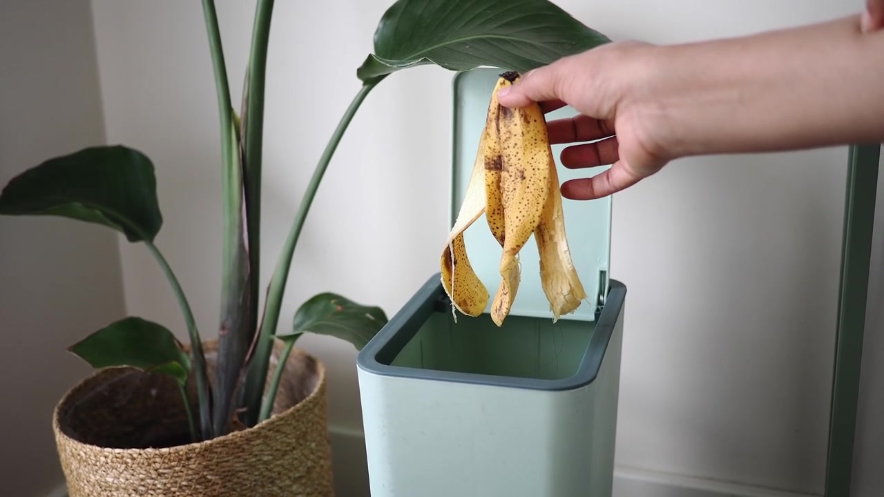 Persona che getta una buccia di banana in un piccolo cestino interno