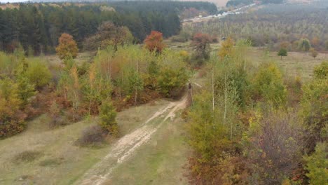 Long-aerial-panning-shot-of-girl-ride-horse-in-forest-road