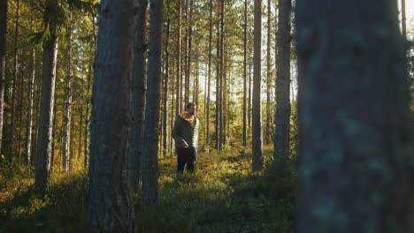 man hiking through beautiful natural pine forest at sunset. static view behind tree
