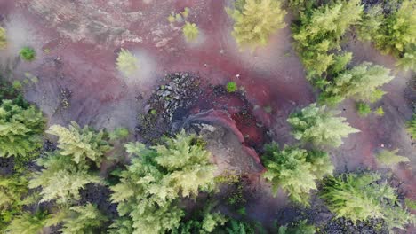 aerial drone shot upward movement 4k - volcanic eruption recovery area with vegetation and visible lava flows