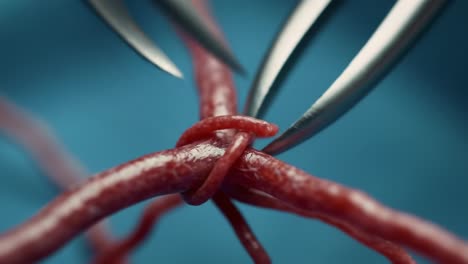 detailed close-up of surgical instruments engaging with vascular tissue, illustrating precision and technique in surgical procedures on living organisms