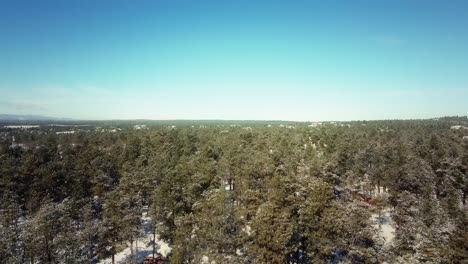 空中降落的地平线视图 科罗拉多州的黑森林到雪覆盖的森林地板