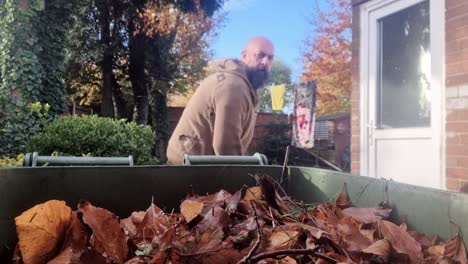 middle aged bearded man raking autumn leaves into green garden waste bin