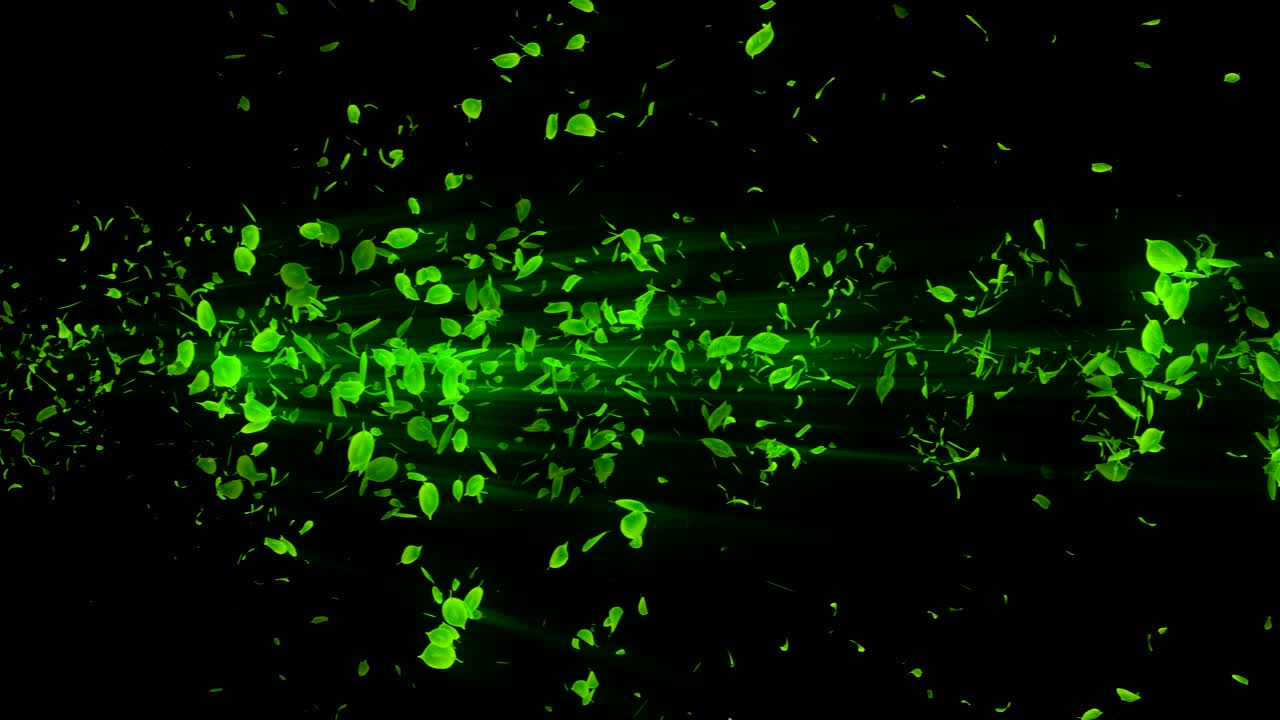 vórtice de hojas verdes. espiral partícula brillante de hojas estacionales. hoja danzante. colorida animación de bucle de túnel de la naturaleza.
