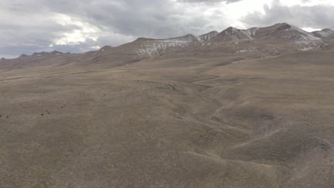 distant-bison-herd-in-the-ridges-and-valleys-of-mountain