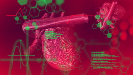 animation of dna strand, human heart and scientific data processing