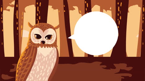 owl animal autumn season animation
