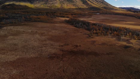 slow forward drone tilt up over beautiful wide yellow landscape with mountain in distance