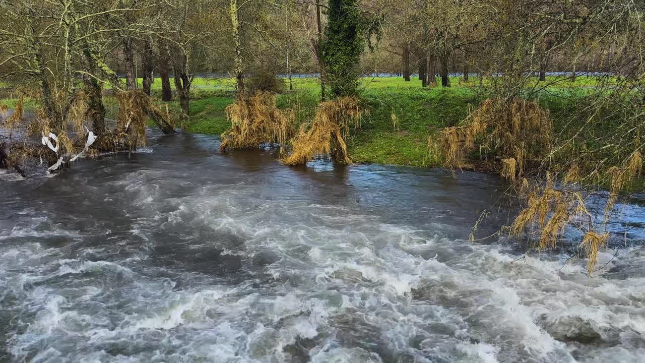Affald forbliver i træerne på flodbredderne efter de høje vandstande forårsaget af storm Kristin i Portugal