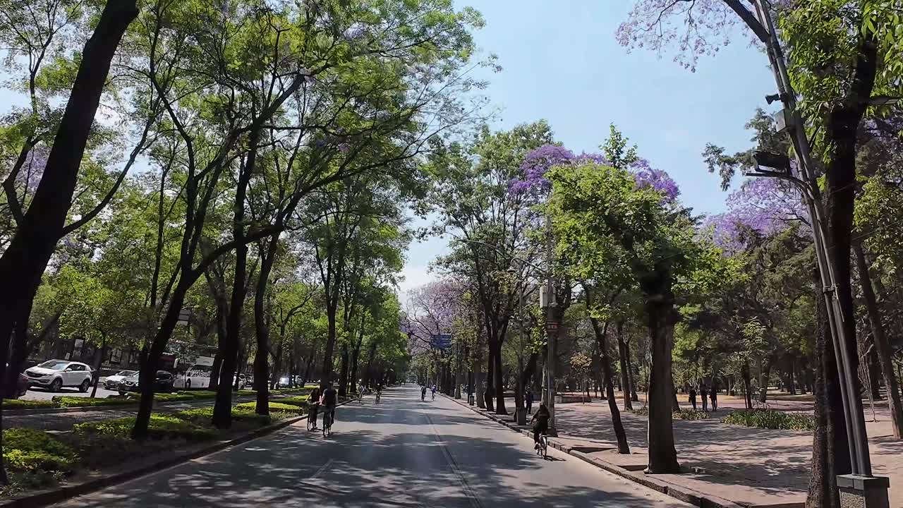 Slow motion shot of reforma avenue during Sunday
