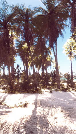 tropical paradise beach scene