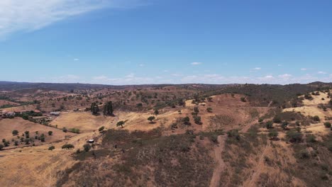 Drone-Flyover-endless-vegetation-valley-in-rural-Alentejo