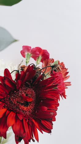 close-up of a bouquet of red gerbera and pink carnations