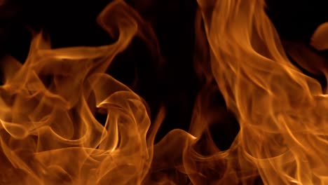 flames of fire on black background in slow motion