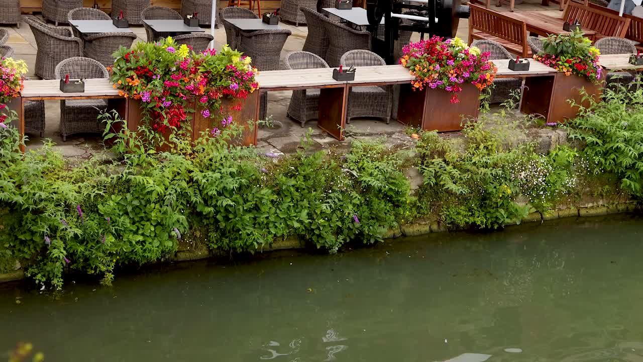 런던 의 운하 를 따라 꽃 비 들