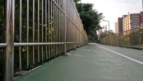 a happy dog walks towards the camera on a bridge.